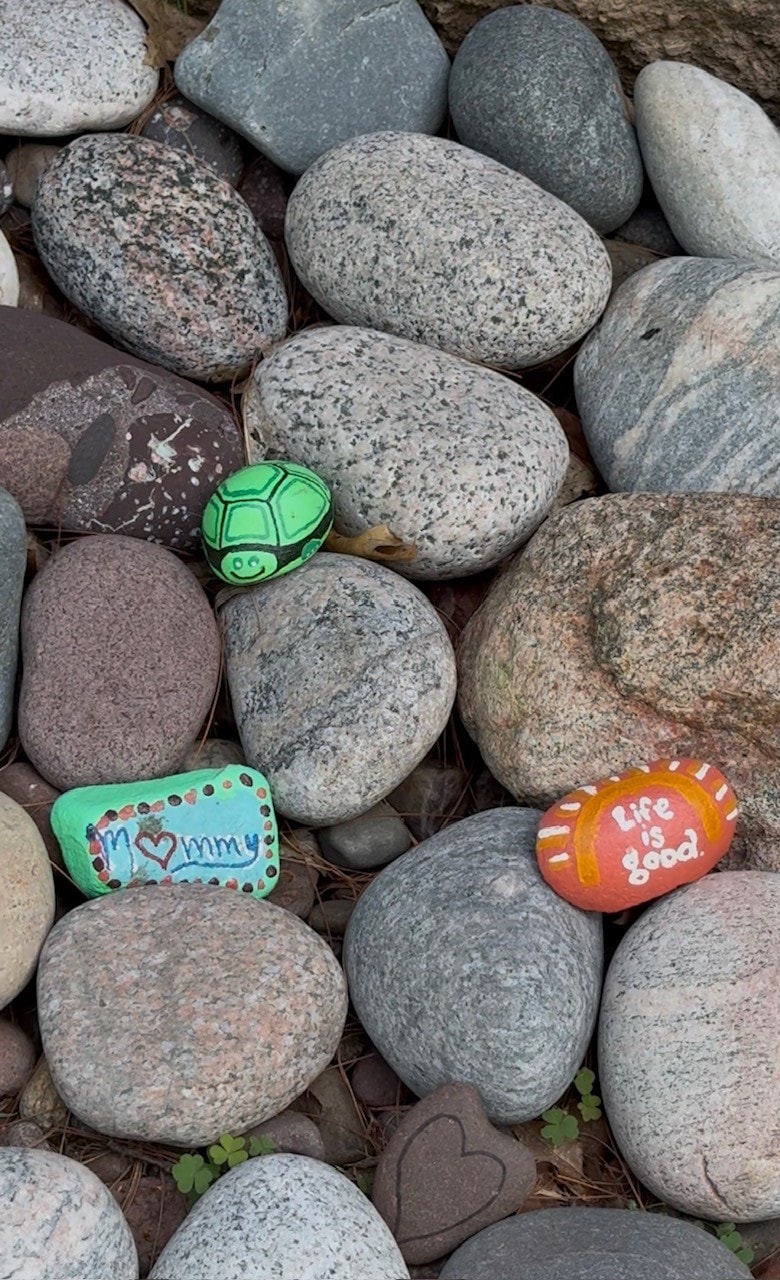 Rocks painted by our kids