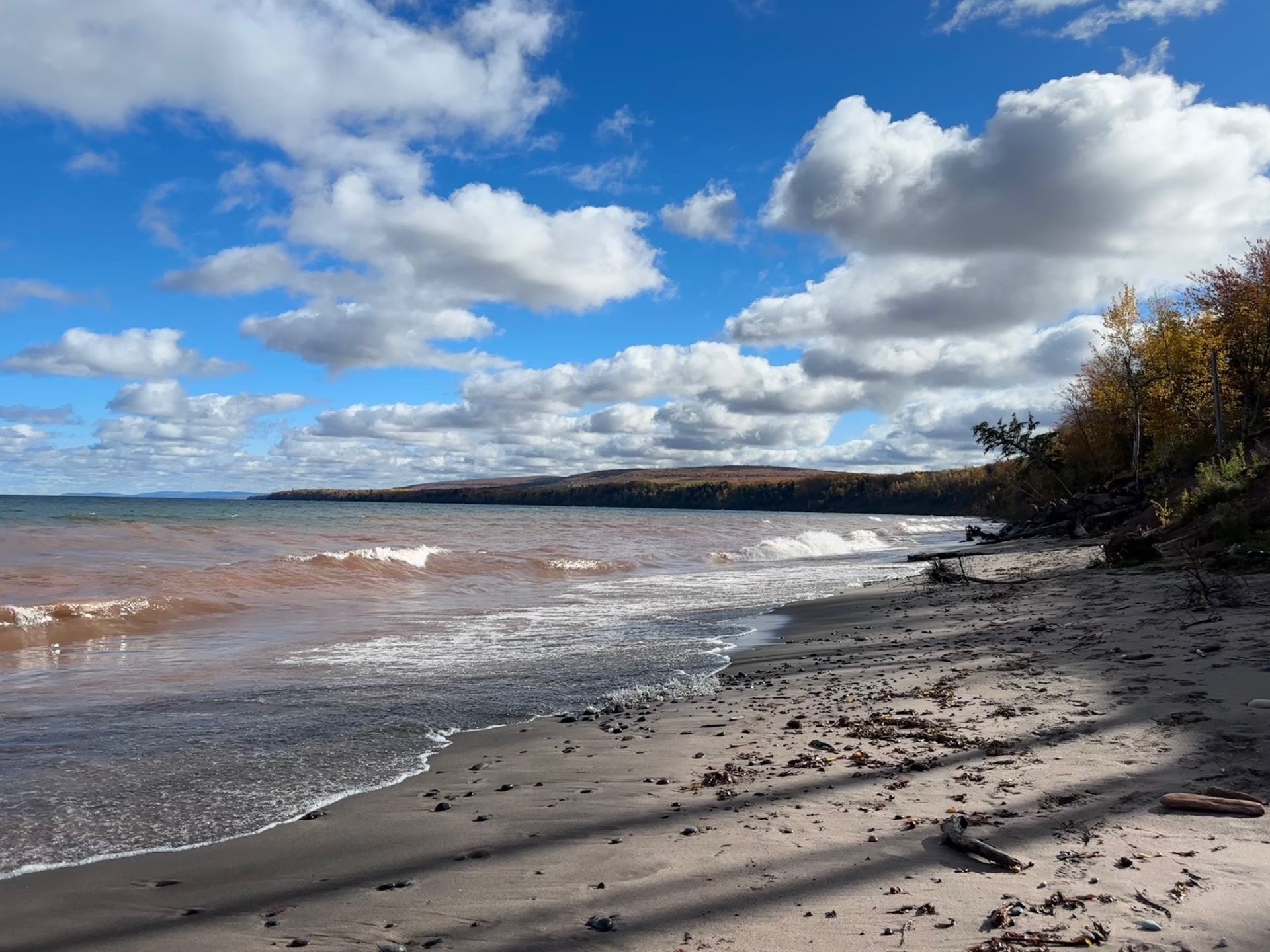 Driftwood on a peaceful shoreline