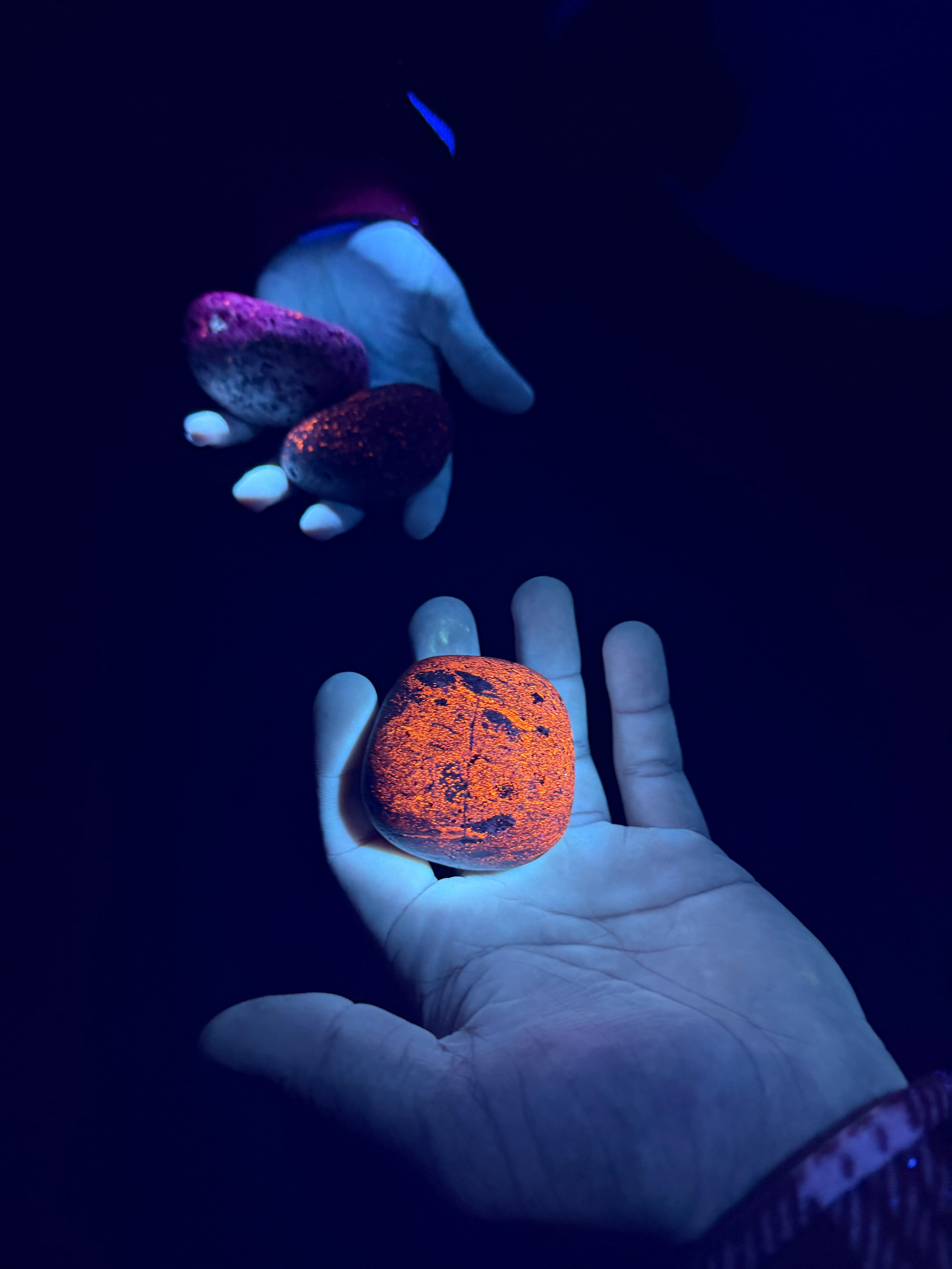 Fluorescent sodalite stones glowing orange under UV light in hands
