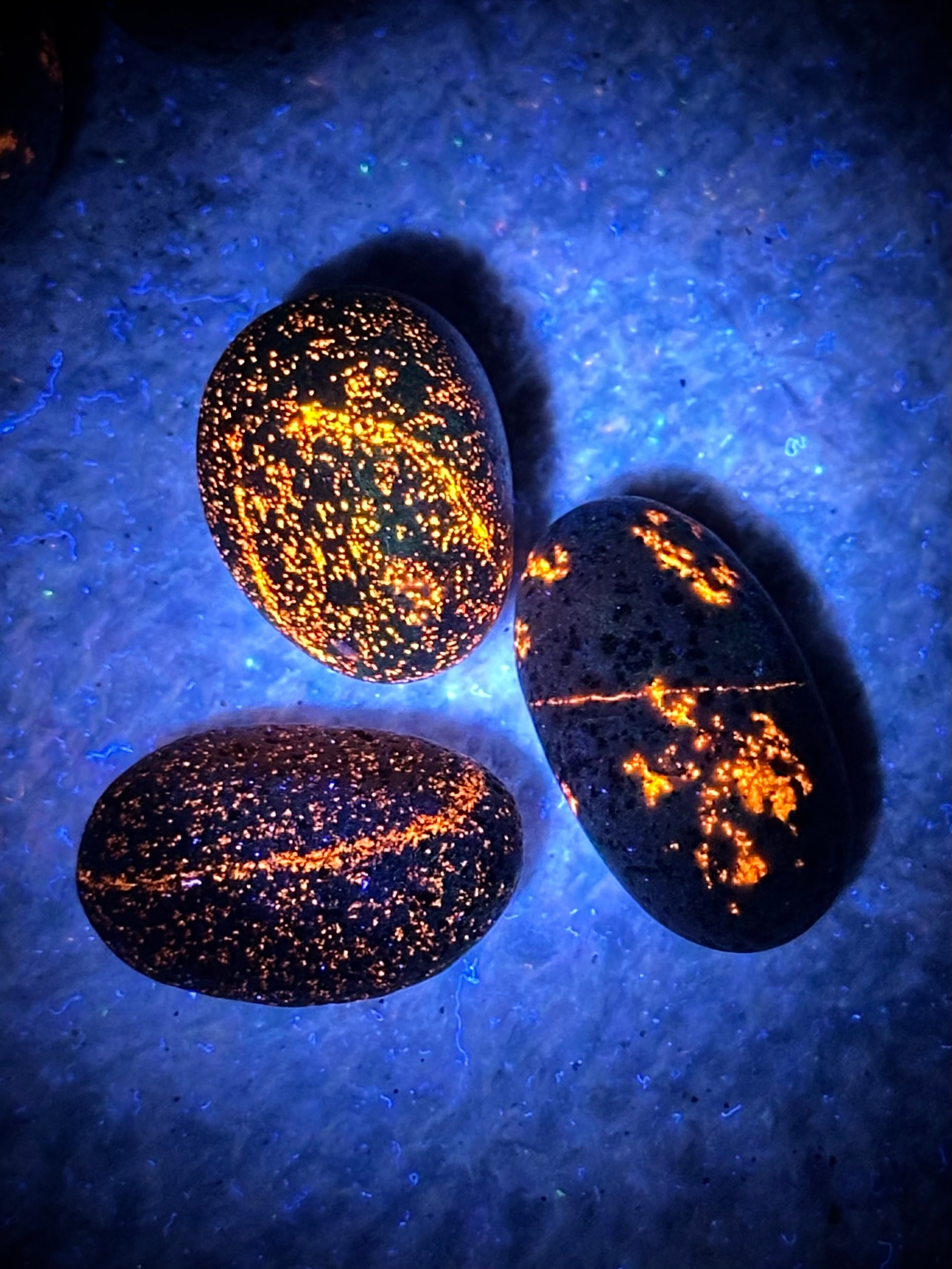 The same fluorescent sodalite stones glowing brilliant orange and yellow under UV shortwave light